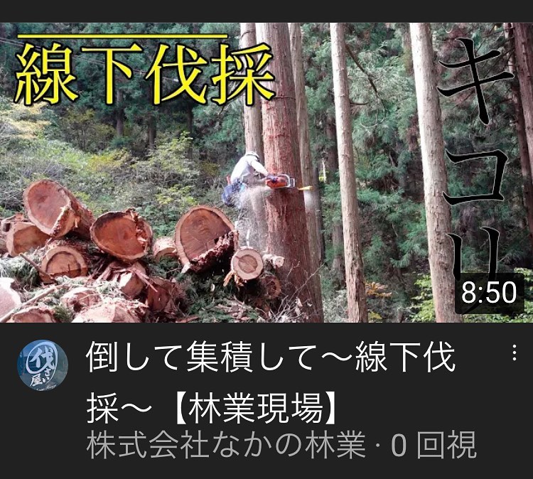 YouTube動画 UPしました。#伐採#特殊伐採#林業#線下保安伐採#石川県#白山市#鶴来#なかの林業