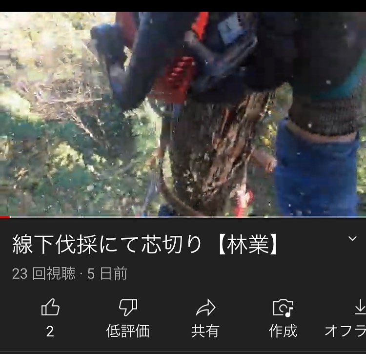 YouTube動画upしました。#伐採#特殊伐採#林業#youtube #石川県#白山市#鶴来#なかの林業