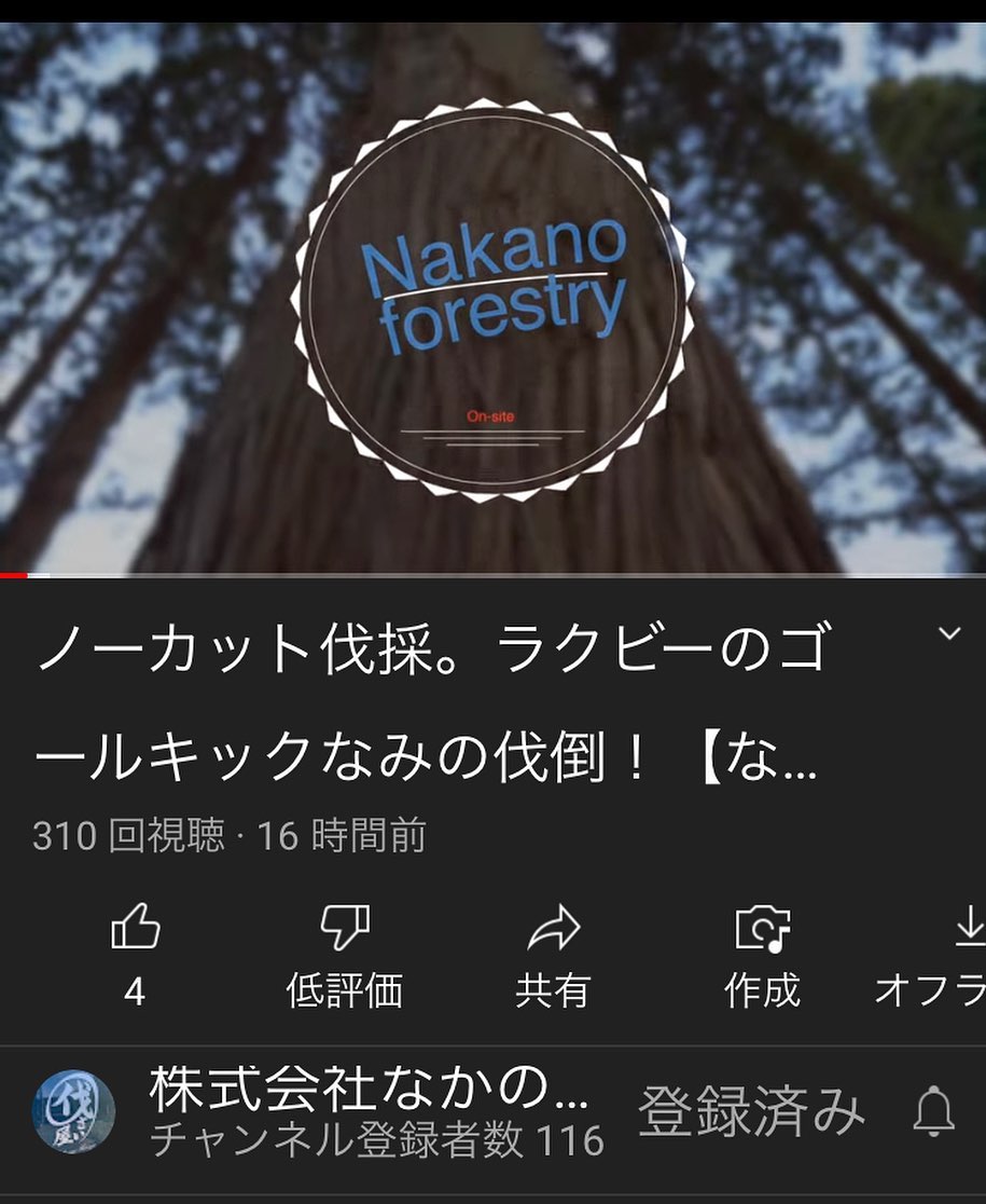 YouTube動画upしました😀チャンネル登録よろしくお願いします‍♂️#伐採#特殊伐採#林業#林業youtube#石川県#白山市#鶴来#なかの林業