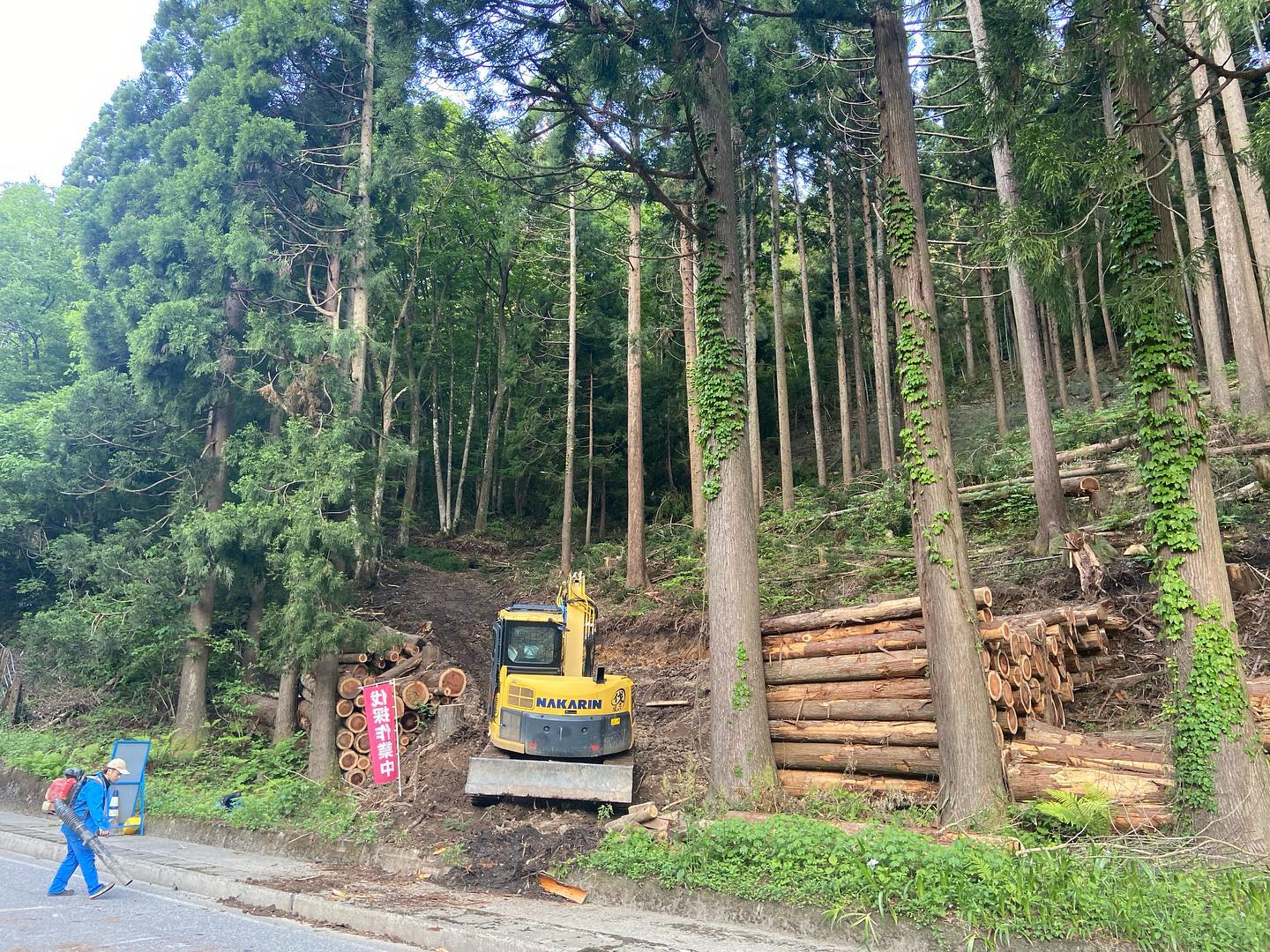 おはようございます中直海地区間伐工2ヶ所目、順調です#伐採#特殊伐採#林業#間伐#石川県#白山市#金沢市#鶴来#なかの林業