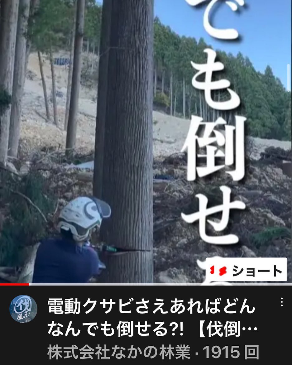 YouTube更新️ショート動画です#伐採 #特殊伐採 #林業 #youtube #石川県 #白山市 #鶴来 #なかの林業