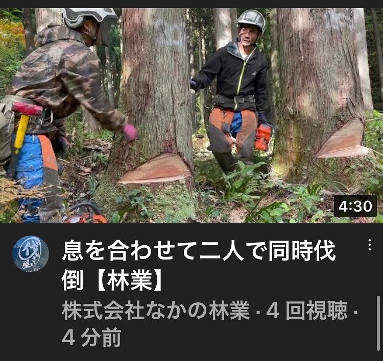 YouTube更新️チャンネル登録・高評価よろしくお願いします‍♂️#伐採 #特殊伐採 #林業 #youtube #石川県 #白山市 #鶴来  #なかの林業