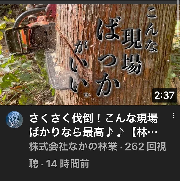 YouTube更新しました‍♂️チャンネル登録よろしくお願いします#伐採 #特殊伐採 #林業 #youtube #石川県 #白山市 #鶴来 #なかの林業