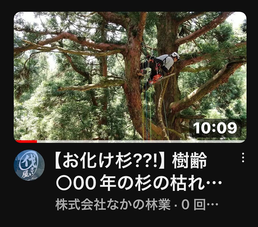 最新YouTubeご覧下さい️________________________________⁡樹木でお困りの方は"株式会社なかの林業"にお任せ下さい！従業員も随時募集中です☘️お問合せはHP、DM、お電話にて！https://nakano-ringyo.jp⁡〒920-2133石川県白山市鶴来大国町西517℡: 076-272-4885fax: 076-272-8745________________________________⁡#伐採 #特殊伐採 #林業 #除草 #主伐 #間伐 #森林経営計画 #森林環境譲与税税 #森林管理制度 #スマート林業 #国有林 #県有林 #市有林 #民有林 #公社林 #屋敷林 #素材生産 #造林 #支障木 #線下伐採 #除雪 #石川県 #白山市 #鶴来 #金沢市 #野々市市 #小松市 #能美市 #なかの林業