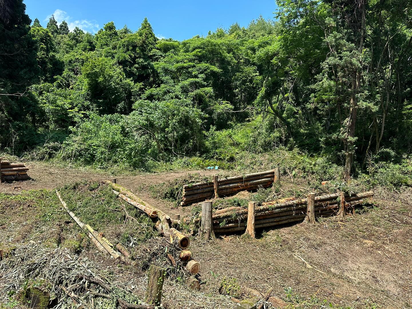 夏日ですね遠征組の線下保安伐採完了️________________________________⁡樹木でお困りの方は"株式会社なかの林業"にお任せ下さい！従業員も随時募集中です☘️お問合せはHP、DM、お電話にて！https://nakano-ringyo.jp⁡〒920-2133石川県白山市鶴来大国町西517℡: 076-272-4885fax: 076-272-8745________________________________⁡#伐採 #特殊伐採 #林業 #除草 #主伐 #間伐 #森林経営計画 #森林環境譲与税税 #森林管理制度 #スマート林業 #国有林 #県有林 #市有林 #民有林 #公社林 #屋敷林 #素材生産 #造林 #支障木 #線下伐採 #除雪 #石川県 #白山市 #鶴来 #金沢市 #野々市市 #小松市 #能美市 #なかの林業