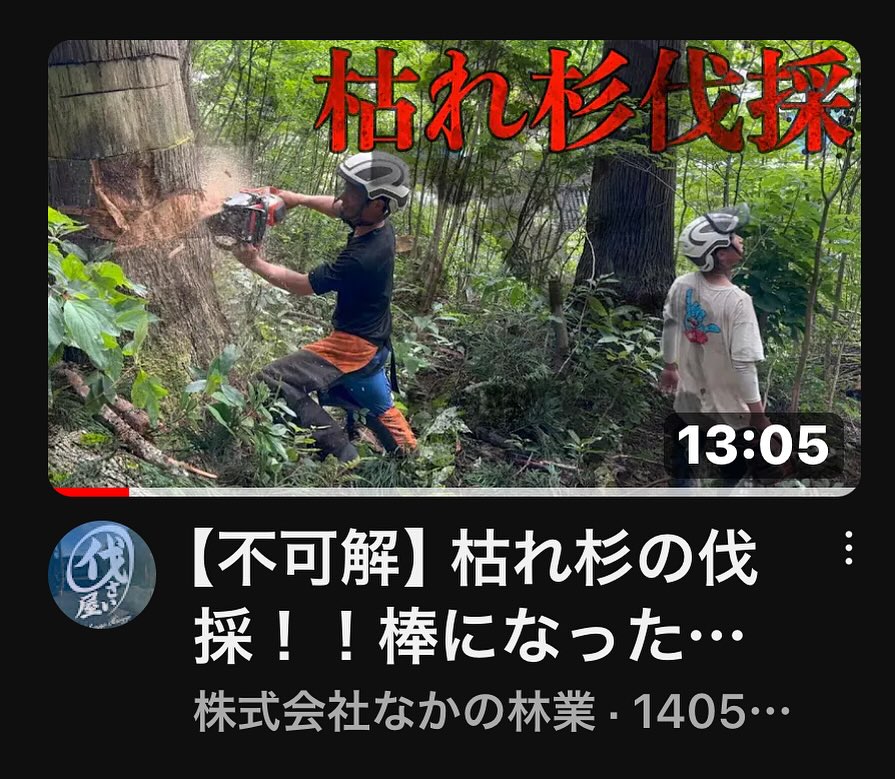 最新YouTube️ご視聴下さい❣️________________________________⁡樹木でお困りの方は"株式会社なかの林業"にお任せ下さい！従業員も随時募集中です☘️お問合せはHP、DM、お電話にて！https://nakano-ringyo.jp⁡〒920-2133石川県白山市鶴来大国町西517℡: 076-272-4885fax: 076-272-8745________________________________⁡#伐採 #特殊伐採 #林業 #除草 #主伐 #間伐 #森林経営計画 #森林環境譲与税税 #森林管理制度 #スマート林業 #国有林 #県有林 #市有林 #民有林 #公社林 #屋敷林 #素材生産 #造林 #支障木 #線下伐採 #除雪 #石川県 #白山市 #鶴来 #金沢市 #野々市市 #小松市 #能美市 #なかの林業