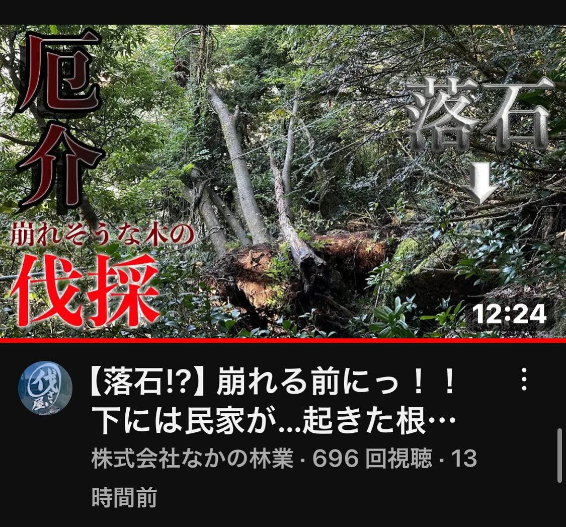 なかの林業YouTubeご覧下さい️________________________________⁡樹木でお困りの方は"株式会社なかの林業"にお任せ下さい！従業員も随時募集中です☘️お問合せはHP、DM、お電話にて！https://nakano-ringyo.jp⁡〒920-2133石川県白山市鶴来大国町西517℡: 076-272-4885fax: 076-272-8745________________________________⁡#伐採 #特殊伐採 #林業 #除草 #主伐 #間伐 #森林経営計画 #森林環境譲与税 #森林管理制度 #スマート林業 #国有林 #県有林 #市有林 #民有林 #公社林 #屋敷林 #素材生産 #造林 #支障木 #線下伐採 #除雪 #石川県 #白山市 #鶴来 #金沢市 #野々市市 #小松市 #能美市 #なかの林業