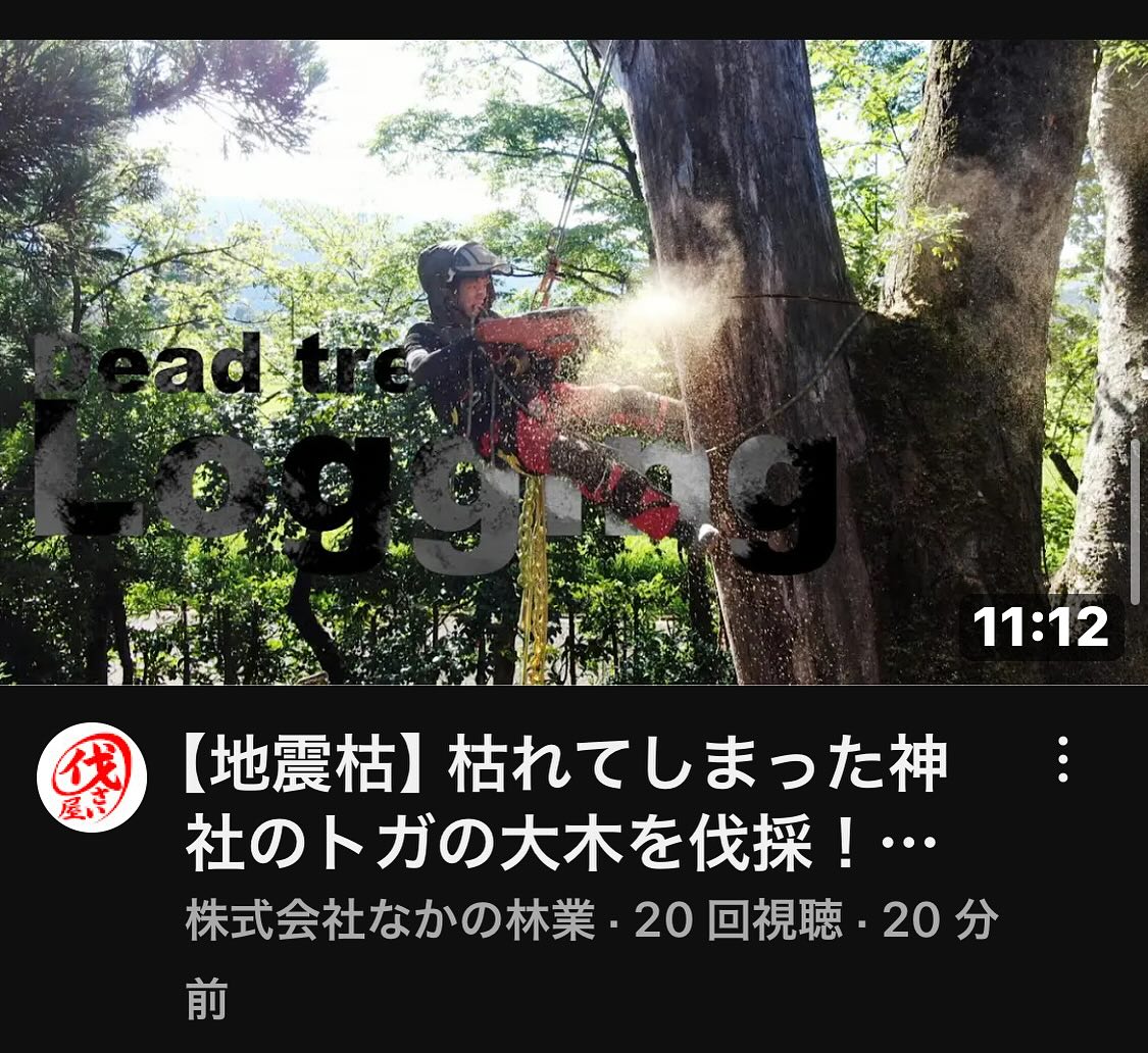 なかの林業YouTube枯木伐採編　ご覧下さい️________________________________⁡樹木でお困りの方は"株式会社なかの林業"にお任せ下さい！従業員も随時募集中です☘️お問合せはHP、DM、お電話にて！https://nakano-ringyo.jp⁡〒920-2133石川県白山市鶴来大国町西517℡: 076-272-4885fax: 076-272-8745________________________________⁡#伐採 #特殊伐採 #林業 #除草 #主伐 #間伐 #森林経営計画 #森林環境譲与税 #森林管理制度 #スマート林業 #国有林 #県有林 #市有林 #民有林 #公社林 #屋敷林 #素材生産 #造林 #支障木 #線下伐採 #除雪 #石川県 #白山市 #鶴来 #金沢市 #野々市市 #小松市 #能美市 #なかの林業