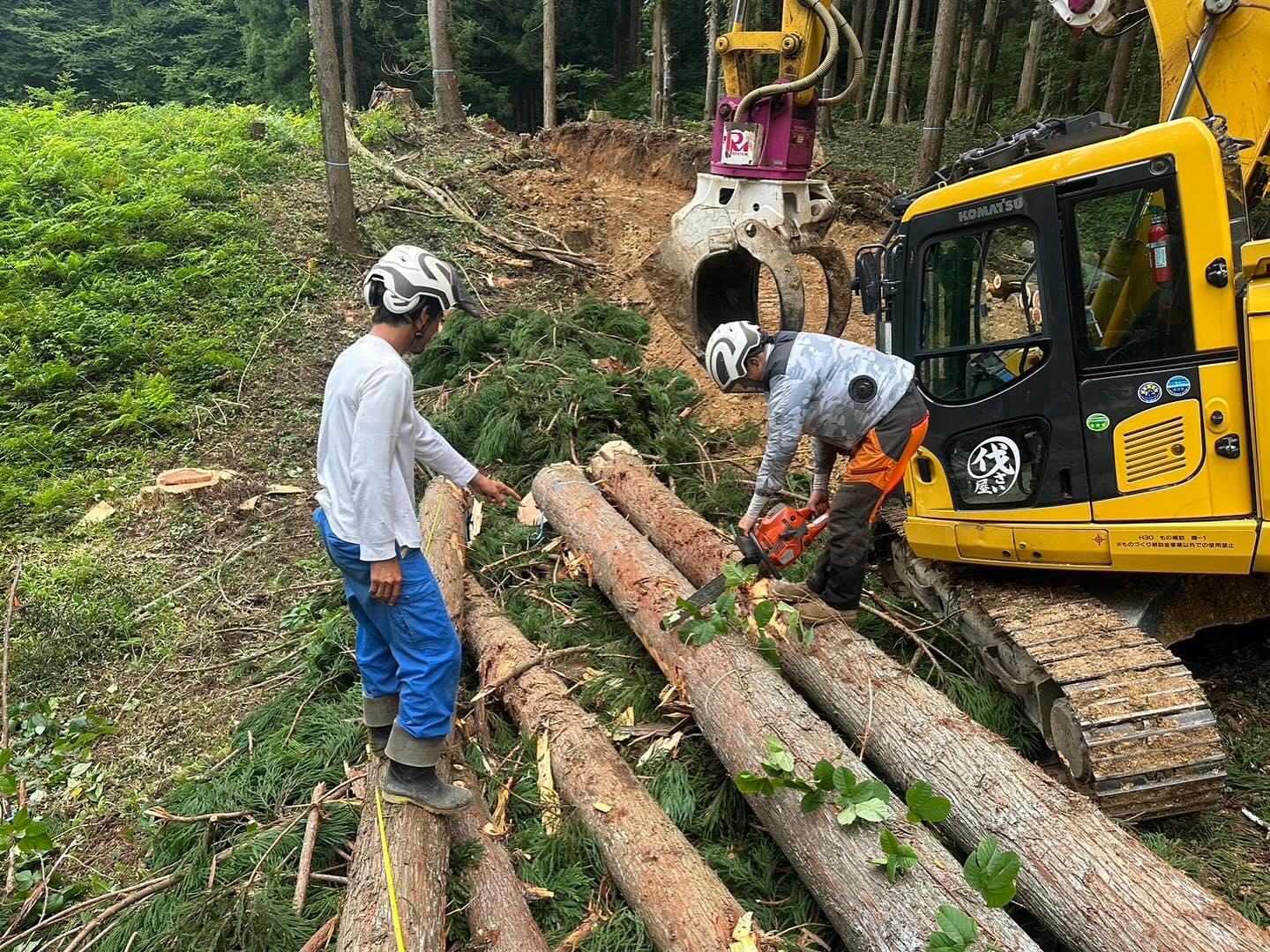 なかの林業も明日からお盆休みに入ります。お盆明けは19日月曜日から♪________________________________⁡樹木でお困りの方は"株式会社なかの林業"にお任せ下さい！従業員も随時募集中です☘️お問合せはHP、DM、お電話にて！https://nakano-ringyo.jp⁡〒920-2133石川県白山市鶴来大国町西517℡: 076-272-4885fax: 076-272-8745________________________________⁡#伐採 #特殊伐採 #林業 #除草 #主伐 #間伐 #森林経営計画 #森林環境譲与税 #森林管理制度 #スマート林業 #国有林 #県有林 #市有林 #民有林 #公社林 #屋敷林 #素材生産 #造林 #支障木 #線下伐採 #除雪 #石川県 #白山市 #鶴来 #金沢市 #野々市市 #小松市 #能美市 #なかの林業