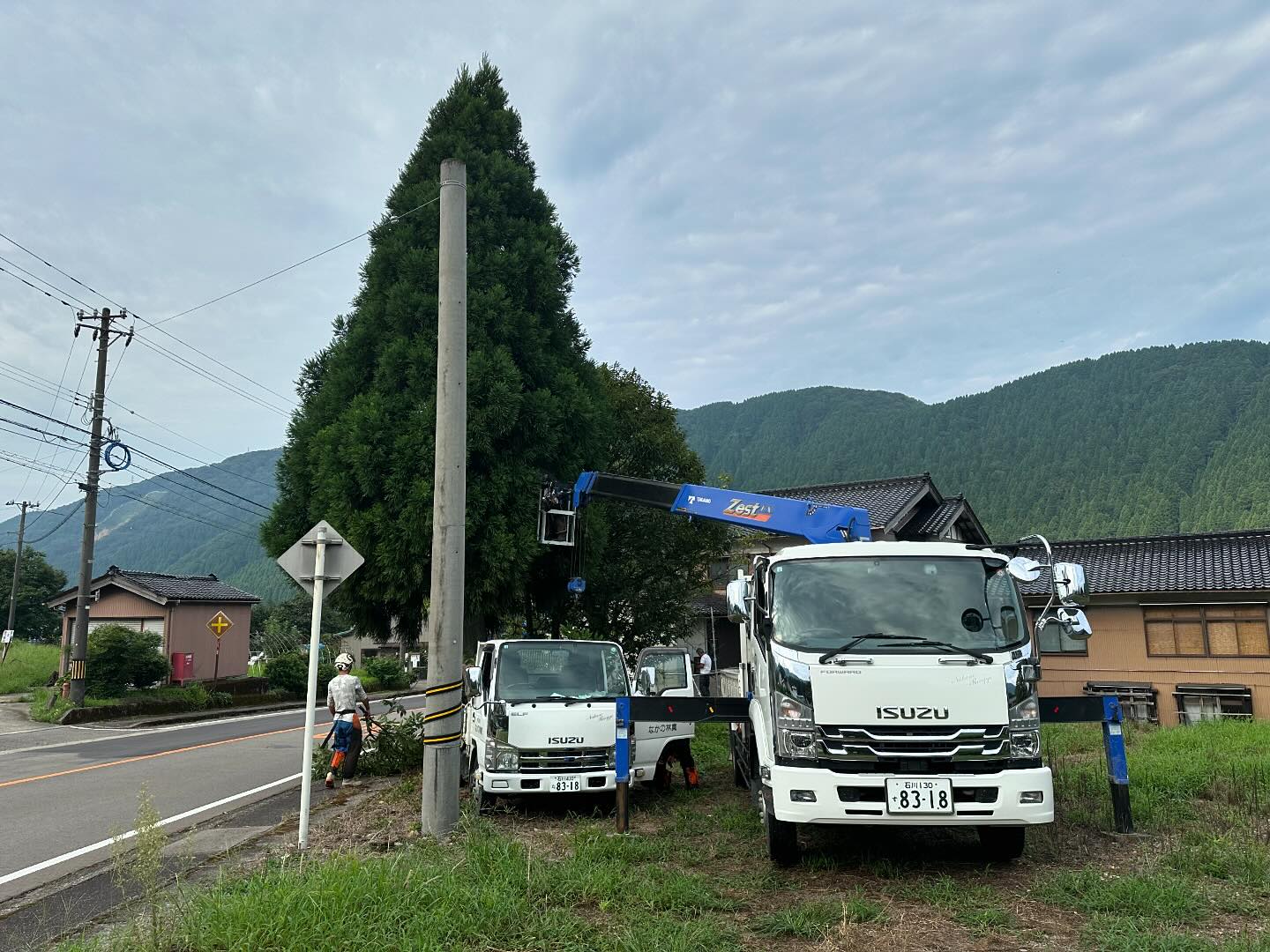 県道脇のスギ、クリ、サクラの伐採工________________________________⁡樹木でお困りの方は"株式会社なかの林業"にお任せ下さい！従業員も随時募集中です☘️お問合せはHP、DM、お電話にて！https://nakano-ringyo.jp⁡〒920-2133石川県白山市鶴来大国町西517℡: 076-272-4885fax: 076-272-8745________________________________⁡#伐採 #特殊伐採 #林業 #除草 #主伐 #間伐 #森林経営計画 #森林環境譲与税 #森林管理制度 #スマート林業 #国有林 #県有林 #市有林 #民有林 #公社林 #屋敷林 #素材生産 #造林 #支障木 #線下伐採 #除雪 #石川県 #白山市 #鶴来 #金沢市 #野々市市 #小松市 #能美市 #なかの林業