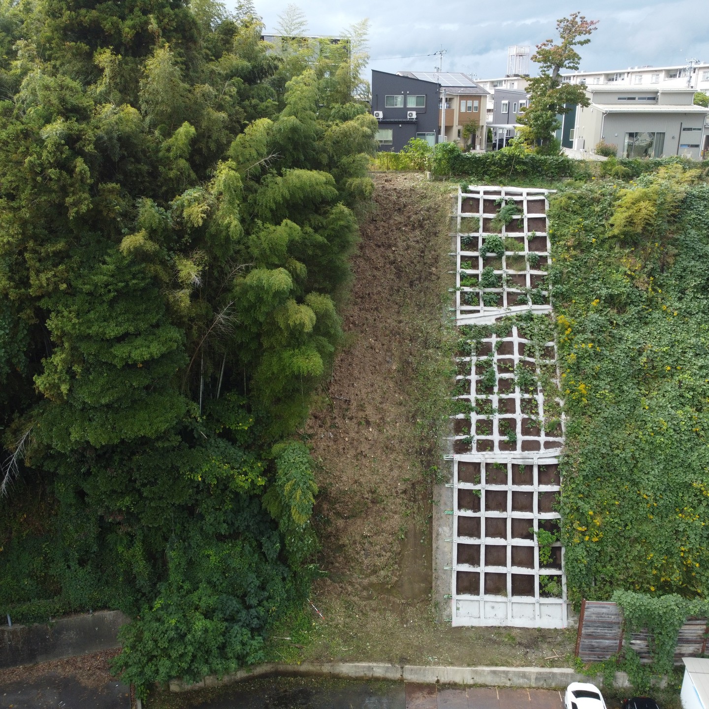 某所にて法面伐採・除草工________________________________⁡樹木でお困りの方は"株式会社なかの林業"にお任せ下さい！従業員も随時募集中です☘️お問合せはHP、DM、お電話にて！https://nakano-ringyo.jp⁡〒920-2133石川県白山市鶴来大国町西517℡: 076-272-4885fax: 076-272-8745________________________________⁡#伐採 #特殊伐採 #林業 #除草 #主伐 #間伐 #森林経営計画 #森林環境譲与税 #森林管理制度 #スマート林業 #国有林 #県有林 #市有林 #民有林 #公社林 #屋敷林 #素材生産 #造林 #支障木 #線下伐採 #除雪 #石川県 #白山市 #鶴来 #金沢市 #野々市市 #小松市 #能美市 #なかの林業