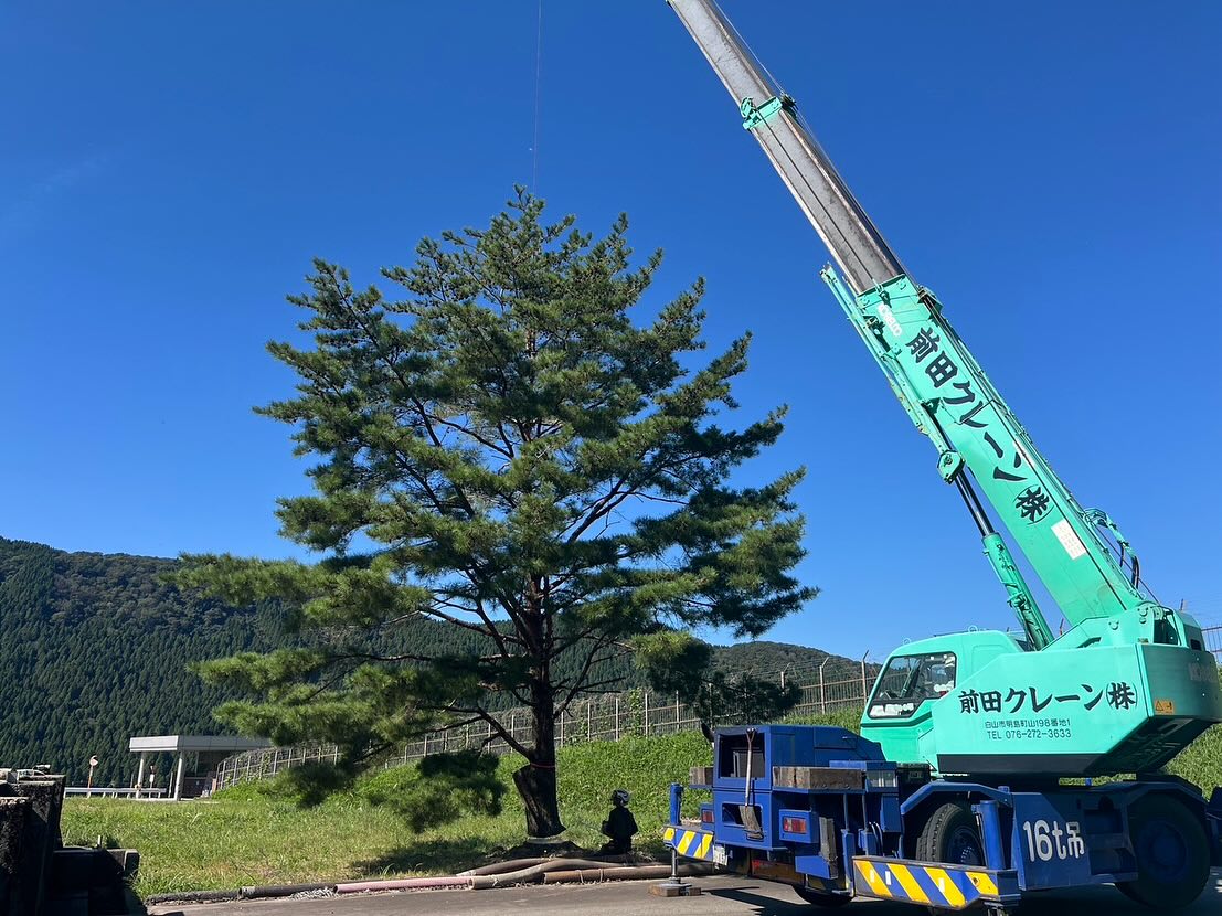 県浄水場での支障木伐採工事________________________________⁡樹木でお困りの方は"株式会社なかの林業"にお任せ下さい！従業員も随時募集中です☘️お問合せはHP、DM、お電話にて！https://nakano-ringyo.jp⁡〒920-2133石川県白山市鶴来大国町西517℡: 076-272-4885fax: 076-272-8745________________________________⁡#伐採 #特殊伐採 #林業 #除草 #主伐 #間伐 #森林経営計画 #森林環境譲与税 #森林管理制度 #スマート林業 #国有林 #県有林 #市有林 #民有林 #公社林 #屋敷林 #素材生産 #造林 #支障木 #線下伐採 #除雪 #石川県 #白山市 #鶴来 #金沢市 #野々市市 #小松市 #能美市 #なかの林業