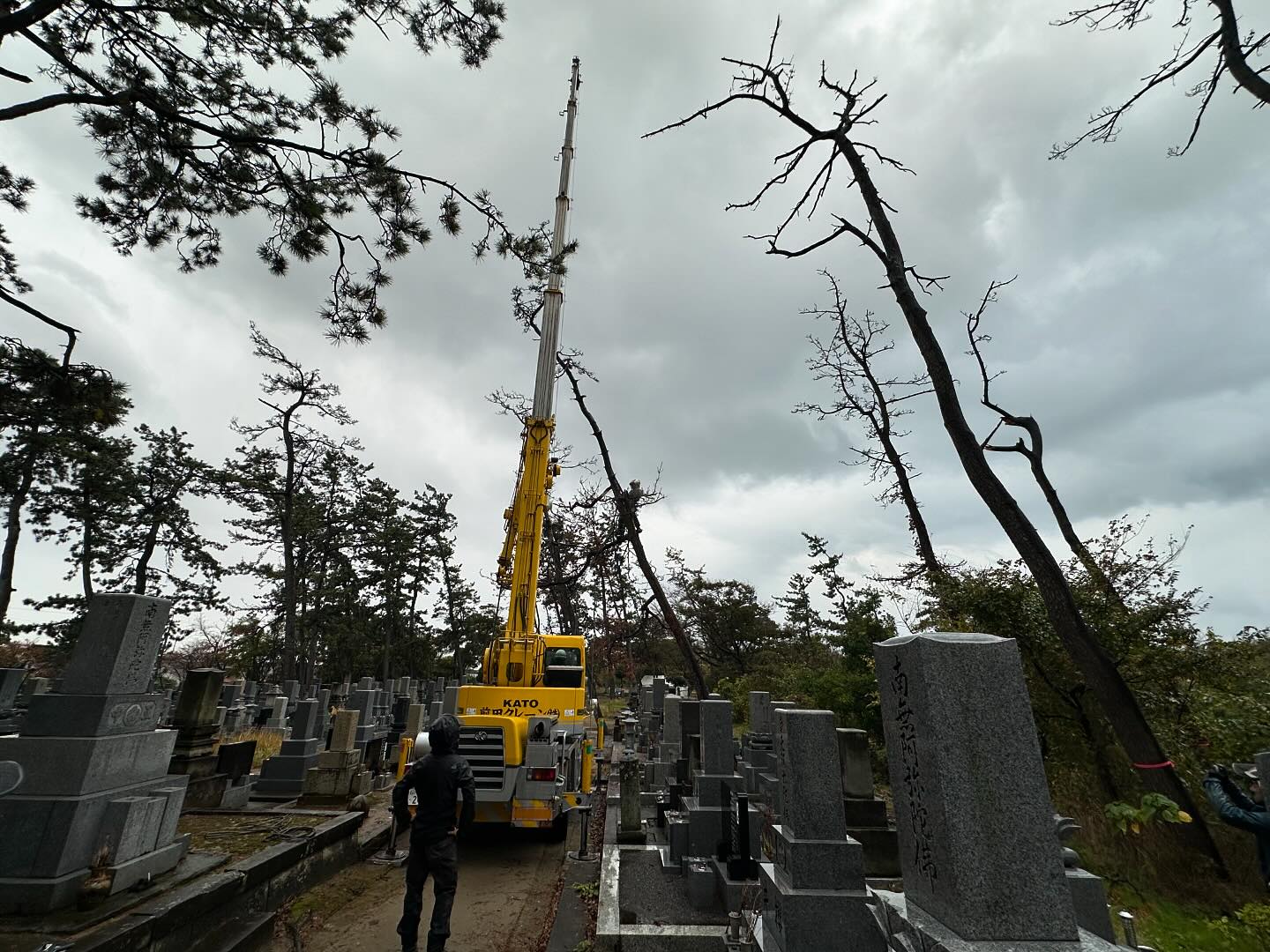 墓地での枯松伐採！生憎の雨模様________________________________⁡樹木でお困りの方は"株式会社なかの林業"にお任せ下さい！従業員も随時募集中です☘️お問合せはHP、DM、お電話にて！https://nakano-ringyo.jp⁡〒920-2133石川県白山市鶴来大国町西517℡: 076-272-4885fax: 076-272-8745________________________________⁡#伐採 #特殊伐採 #林業 #除草 #主伐 #間伐 #森林経営計画 #森林環境譲与税 #森林管理制度 #スマート林業 #国有林 #県有林 #市有林 #民有林 #公社林 #屋敷林 #素材生産 #造林 #支障木 #線下伐採 #除雪 #石川県 #白山市 #鶴来 #金沢市 #野々市市 #小松市 #能美市 #なかの林業