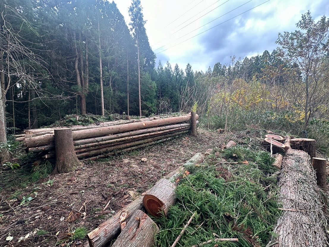 線下保安伐採！集積には自信あり！山主さんに喜ばれる完成を心がけています！________________________________⁡樹木でお困りの方は"株式会社なかの林業"にお任せ下さい！従業員も随時募集中です☘️お問合せはHP、DM、お電話にて！https://nakano-ringyo.jp⁡〒920-2133石川県白山市鶴来大国町西517℡: 076-272-4885fax: 076-272-8745________________________________⁡#伐採 #特殊伐採 #林業 #除草 #主伐 #間伐 #森林経営計画 #森林環境譲与税 #森林管理制度 #スマート林業 #国有林 #県有林 #市有林 #民有林 #公社林 #屋敷林 #素材生産 #造林 #支障木 #線下伐採 #除雪 #石川県 #白山市 #鶴来 #金沢市 #野々市市 #小松市 #能美市 #なかの林業