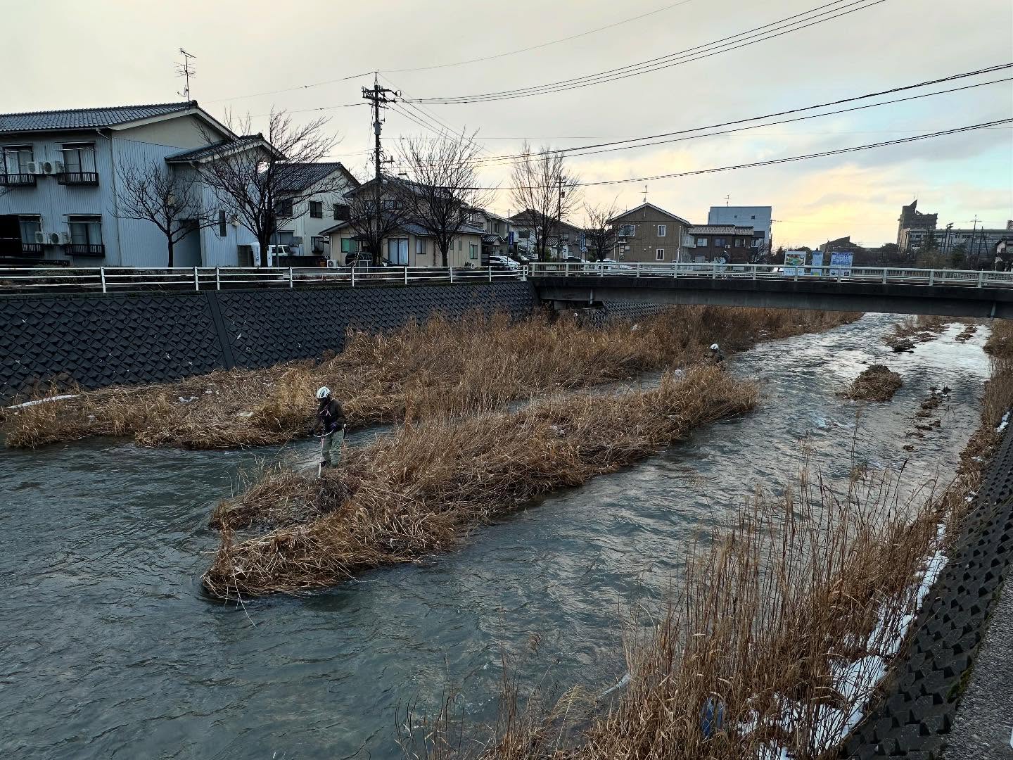 高橋川のに溜まった土砂を撤去する為の除草工！________________________________⁡樹木でお困りの方は"株式会社なかの林業"にお任せ下さい！従業員も随時募集中です☘️お問合せはHP、DM、お電話にて！https://nakano-ringyo.jp⁡〒920-2133石川県白山市鶴来大国町西517℡: 076-272-4885fax: 076-272-8745________________________________⁡#伐採 #特殊伐採 #林業 #除草 #主伐 #間伐 #森林経営計画 #森林環境譲与税 #森林管理制度 #スマート林業 #国有林 #県有林 #市有林 #民有林 #公社林 #屋敷林 #素材生産 #造林 #支障木 #線下伐採 #除雪 #石川県 #白山市 #鶴来 #金沢市 #野々市市 #小松市 #能美市 #なかの林業