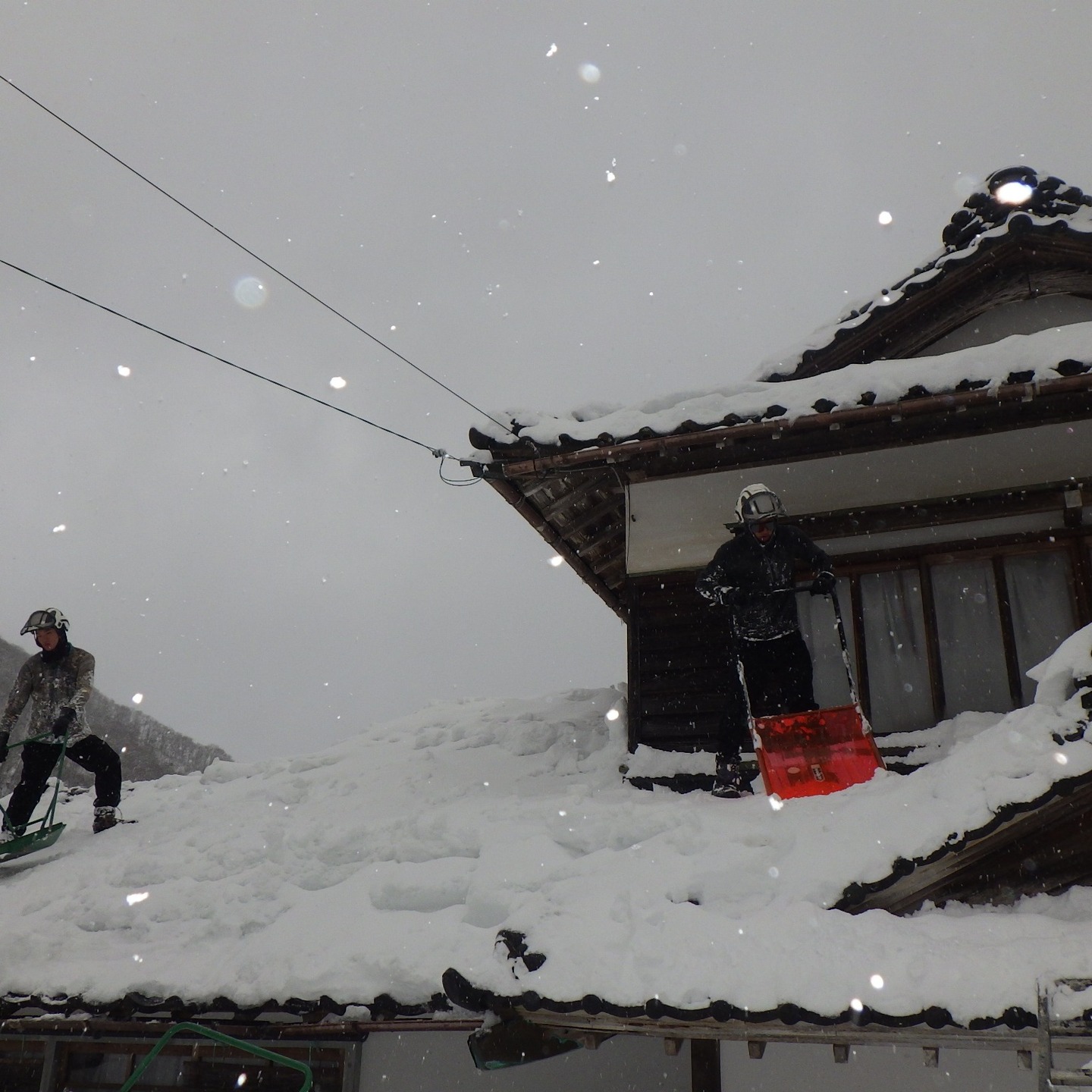 60件目の屋根雪下ろし！ご依頼は当社まで！！！________________________________⁡樹木でお困りの方は"株式会社なかの林業"にお任せ下さい！従業員も随時募集中です☘️お問合せはHP、DM、お電話にて！https://nakano-ringyo.jp⁡〒920-2133石川県白山市鶴来大国町西517℡: 076-272-4885fax: 076-272-8745________________________________⁡#伐採 #特殊伐採 #林業 #除草 #主伐 #間伐 #森林経営計画 #森林環境譲与税 #森林管理制度 #スマート林業 #国有林 #県有林 #市有林 #民有林 #公社林 #屋敷林 #素材生産 #造林 #支障木 #線下伐採 #除雪 #石川県 #白山市 #鶴来 #金沢市 #野々市市 #小松市 #能美市 #なかの林業