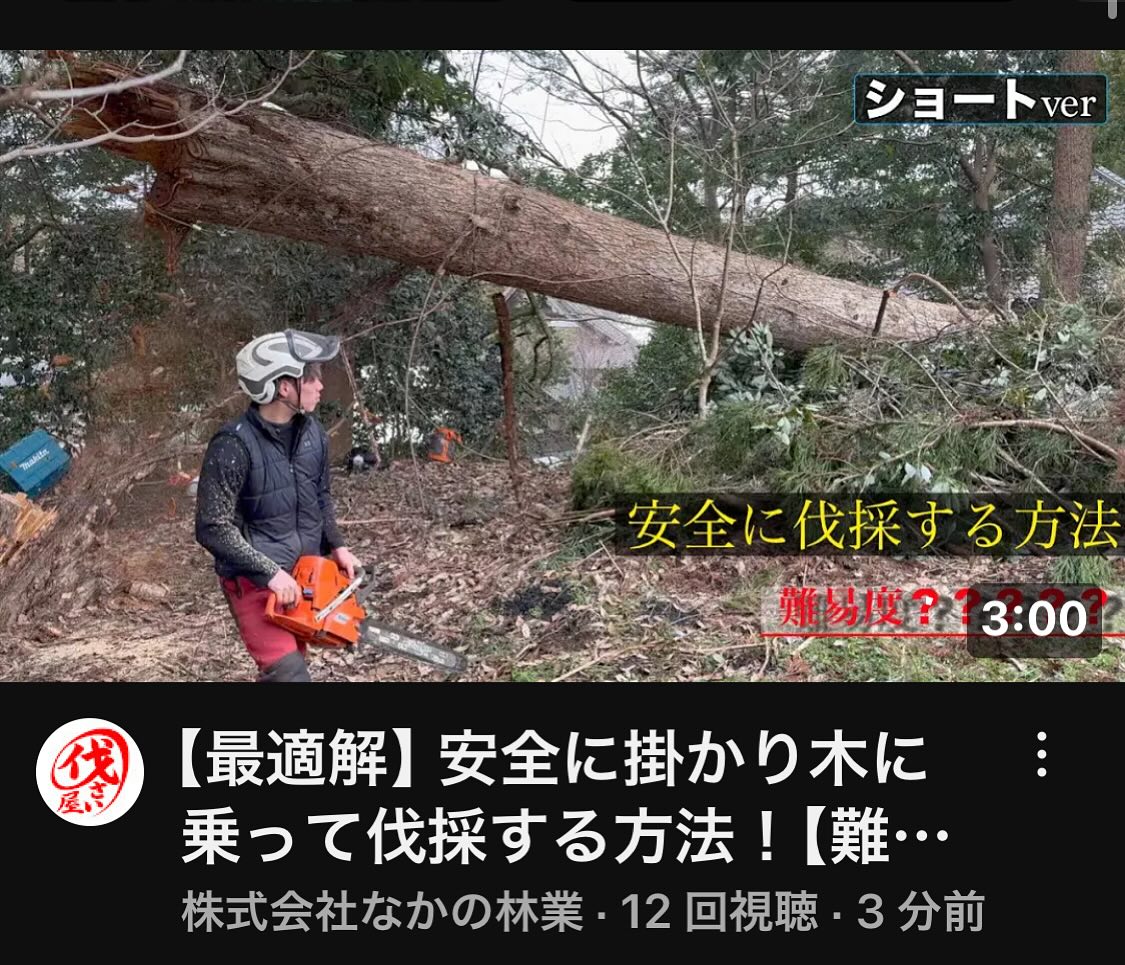 最新YouTube️________________________________⁡樹木でお困りの方は"株式会社なかの林業"にお任せ下さい！従業員も随時募集中です☘️お問合せはHP、DM、お電話にて！https://nakano-ringyo.jp⁡〒920-2133石川県白山市鶴来大国町西517℡: 076-272-4885fax: 076-272-8745________________________________⁡#伐採 #特殊伐採 #空師 #林業 #除草 #主伐 #間伐 #森林経営計画 #森林環境譲与税 #森林管理制度 #スマート林業 #国有林 #県有林 #市有林 #民有林 #公社林 #屋敷林 #素材生産 #造林 #支障木 #線下伐採 #除雪 #石川県 #白山市 #鶴来 #金沢市 #野々市市 #小松市 #能美市 #なかの林業