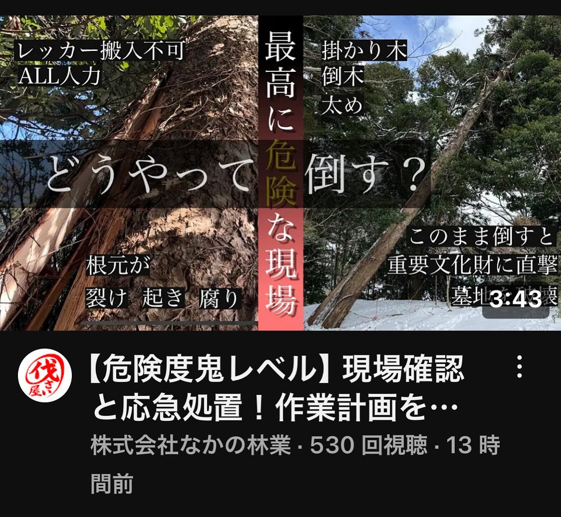 最新YouTube️超危険️倒木編です️________________________________⁡樹木でお困りの方は"株式会社なかの林業"にお任せ下さい！従業員も随時募集中です☘️お問合せはHP、DM、お電話にて！https://nakano-ringyo.jp⁡〒920-2133石川県白山市鶴来大国町西517℡: 076-272-4885fax: 076-272-8745________________________________⁡#伐採 #特殊伐採 #空師 #林業 #除草 #主伐 #間伐 #森林経営計画 #森林環境譲与税 #森林管理制度 #スマート林業 #国有林 #県有林 #市有林 #民有林 #公社林 #屋敷林 #素材生産 #造林 #支障木 #線下伐採 #除雪 #石川県 #白山市 #鶴来 #金沢市 #野々市市 #小松市 #能美市 #なかの林業