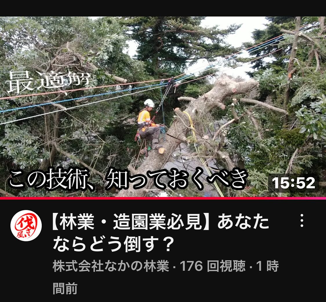 最新YouTube️雪害による倒木掛かり木編️________________________________⁡樹木でお困りの方は"株式会社なかの林業"にお任せ下さい！従業員も随時募集中です☘️お問合せはHP、DM、お電話にて！https://nakano-ringyo.jp⁡〒920-2133石川県白山市鶴来大国町西517℡: 076-272-4885fax: 076-272-8745________________________________⁡#伐採 #特殊伐採 #空師 #林業 #除草 #主伐 #間伐 #森林経営計画 #森林環境譲与税 #森林管理制度 #スマート林業 #国有林 #県有林 #市有林 #民有林 #公社林 #屋敷林 #素材生産 #造林 #支障木 #線下伐採 #除雪 #石川県 #白山市 #鶴来 #金沢市 #野々市市 #小松市 #能美市 #なかの林業