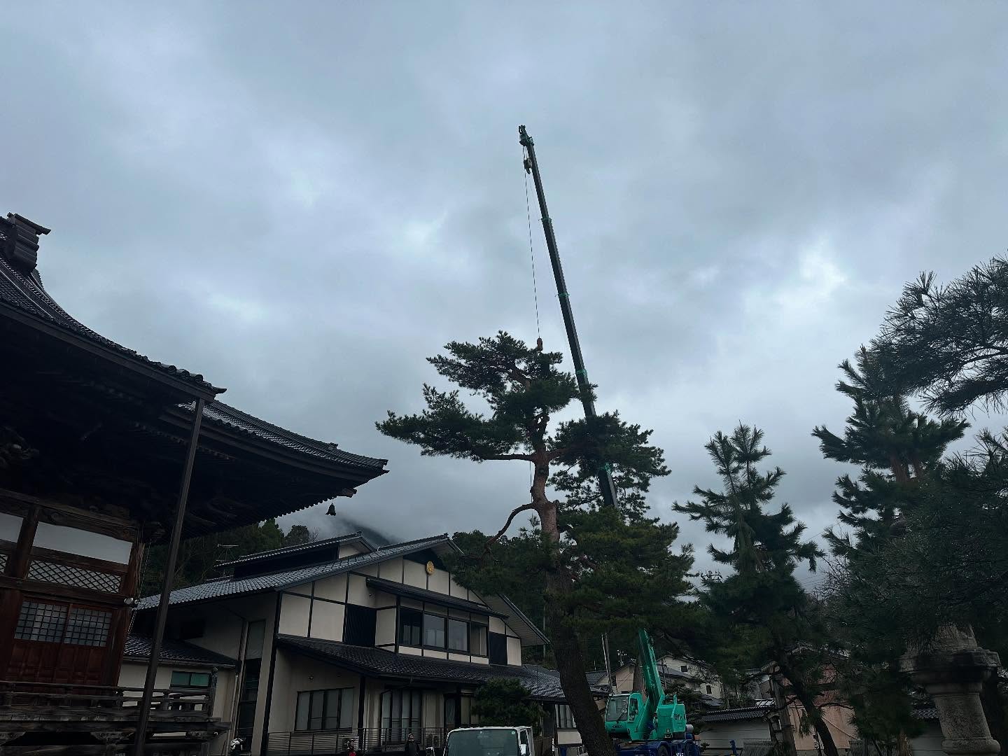 某お寺にて伐採作業________________________________⁡樹木でお困りの方は"株式会社なかの林業"にお任せ下さい！従業員も随時募集中です☘️お問合せはHP、DM、お電話にて！https://nakano-ringyo.jp⁡〒920-2133石川県白山市鶴来大国町西517℡: 076-272-4885fax: 076-272-8745________________________________⁡#伐採 #特殊伐採 #空師 #林業 #除草 #主伐 #間伐 #森林経営計画 #森林環境譲与税 #森林管理制度 #スマート林業 #国有林 #県有林 #市有林 #民有林 #公社林 #屋敷林 #素材生産 #造林 #支障木 #線下伐採 #除雪 #石川県 #白山市 #鶴来 #金沢市 #野々市市 #小松市 #能美市 #なかの林業
