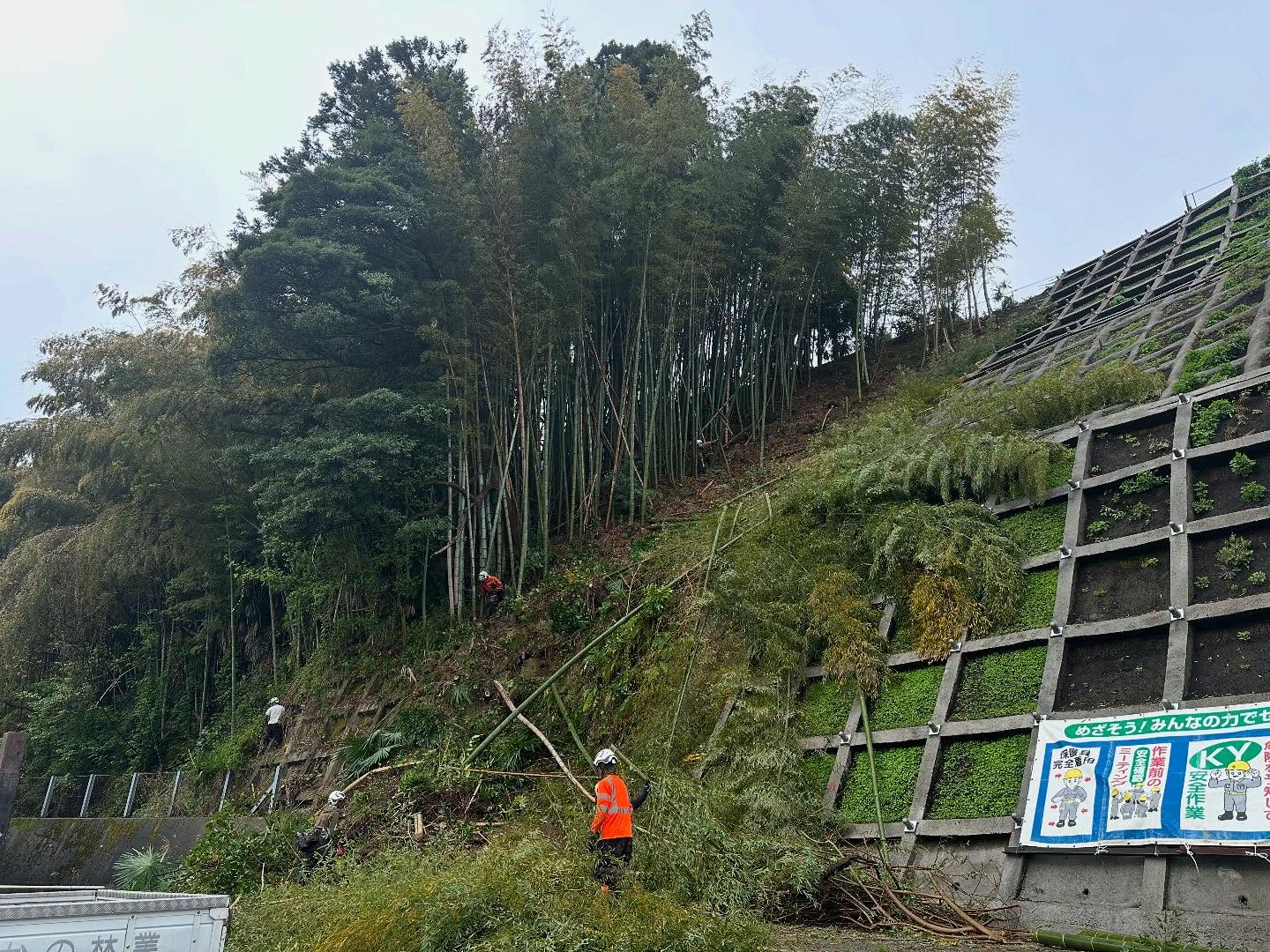 法面伐採工________________________________⁡樹木でお困りの方は"株式会社なかの林業"にお任せ下さい！従業員も随時募集中です☘️お問合せはHP、DM、お電話にて！https://nakano-ringyo.jp⁡〒920-2133石川県白山市鶴来大国町西517℡: 076-272-4885fax: 076-272-8745________________________________⁡#伐採 #特殊伐採 #空師 #林業 #除草 #主伐 #間伐 #森林経営計画 #森林環境譲与税 #森林管理制度 #スマート林業 #国有林 #県有林 #市有林 #民有林 #公社林 #屋敷林 #素材生産 #造林 #支障木 #線下伐採 #除雪 #石川県 #白山市 #鶴来 #金沢市 #野々市市 #小松市 #能美市 #なかの林業