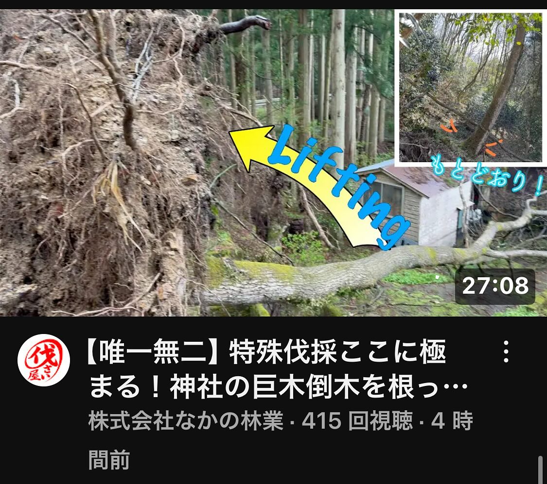 ご覧下さい♪_______________________________樹木でお困りの方は"株式会社なかの林業"にお任せ下さい！従業員も随時募集中です☘️お問合せはHP、DM、お電話にて！https://nakano-ringyo.jp⁡〒920-2133石川県白山市鶴来大国町西517℡: 076-272-4885fax: 076-272-8745_______________________________⁡#伐採 #特殊伐採 #空師 #林業 #除草 #主伐 #間伐 #森林経営計画 #森林環境譲与税 #森林管理制度 #スマート林業 #国有林 #県有林 #市有林 #民有林 #公社林 #屋敷林 #素材生産 #造林 #支障木 #線下伐採 #除雪 #石川県 #白山市 #鶴来 #金沢市 #野々市市 #小松市 #能美市 #なかの林業