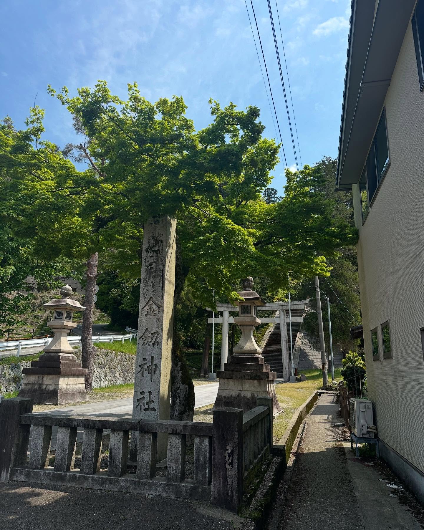 ちょこっと枝切り_______________________________⁡樹木でお困りの方は"株式会社なかの林業"にお任せ下さい！従業員も随時募集中です☘️お問合せはHP、DM、お電話にて！https://nakano-ringyo.jp⁡〒920-2133石川県白山市鶴来大国町西517℡: 076-272-4885fax: 076-272-8745_______________________________⁡#伐採 #特殊伐採 #空師 #林業 #除草 #主伐 #間伐 #森林経営計画 #森林環境譲与税 #森林管理制度 #スマート林業 #国有林 #県有林 #市有林 #民有林 #公社林 #屋敷林 #素材生産 #造林 #支障木 #線下伐採 #除雪 #石川県 #白山市 #鶴来 #金沢市 #野々市市 #小松市 #能美市 #なかの林業