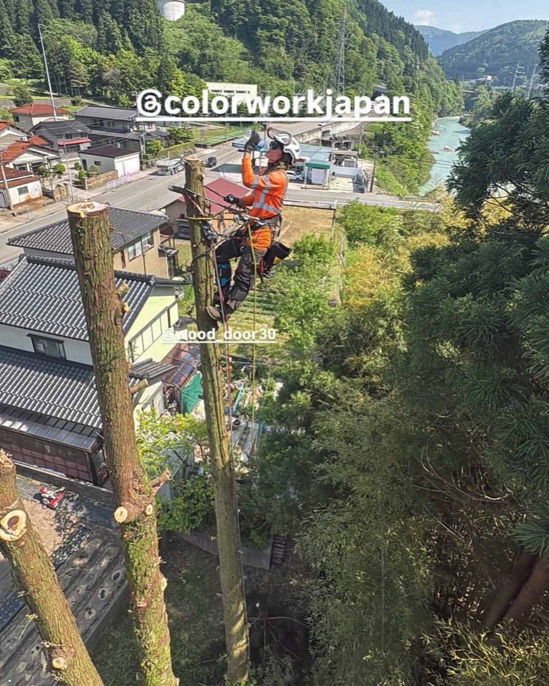 本日は暑かったですね！本日は5現場5班体制で行ってます！________________________________⁡樹木でお困りの方は"株式会社なかの林業"にお任せ下さい！従業員も随時募集中です☘️お問合せはHP、DM、お電話にて！https://nakano-ringyo.jp⁡〒920-2133石川県白山市鶴来大国町西517℡: 076-272-4885fax: 076-272-8745________________________________⁡#伐採 #特殊伐採 #空師 #林業 #除草 #主伐 #間伐 #森林経営計画 #森林環境譲与税 #森林管理制度 #スマート林業 #国有林 #県有林 #市有林 #民有林 #公社林 #屋敷林 #素材生産 #造林 #支障木 #線下伐採 #除雪 #石川県 #白山市 #鶴来 #金沢市 #野々市市 #小松市 #能美市 #なかの林業