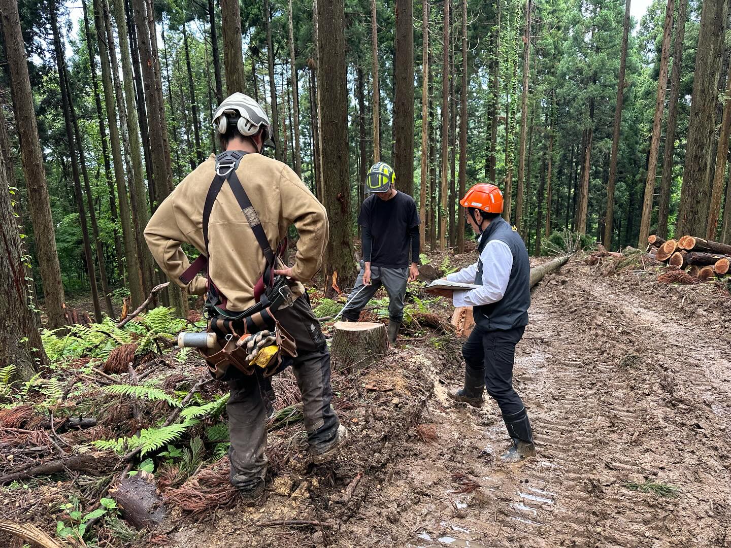 北海道の森林環境リアライズ様が弊社の現場に訪問されました！安全対策を色々聞かせて頂きありがとうございました。________________________________⁡樹木でお困りの方は"株式会社なかの林業"にお任せ下さい！従業員も随時募集中です☘️お問合せはHP、DM、お電話にて！https://nakano-ringyo.jp⁡〒920-2133石川県白山市鶴来大国町西517℡: 076-272-4885fax: 076-272-8745________________________________⁡#伐採 #特殊伐採 #空師 #林業 #除草 #主伐 #間伐 #森林経営計画 #森林環境譲与税 #森林管理制度 #スマート林業 #国有林 #県有林 #市有林 #民有林 #公社林 #屋敷林 #素材生産 #造林 #支障木 #線下伐採 #除雪 #石川県 #白山市 #鶴来 #金沢市 #野々市市 #小松市 #能美市 #なかの林業