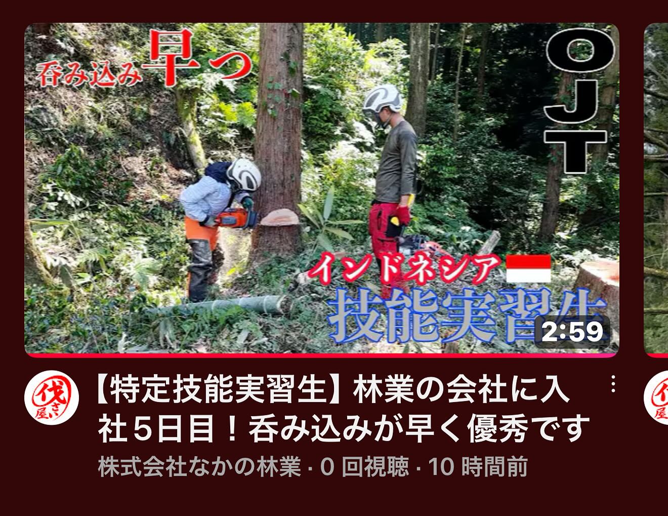 最新YouTube️技能実習生編________________________________⁡樹木でお困りの方は"株式会社なかの林業"にお任せ下さい！従業員も随時募集中です☘️お問合せはHP、DM、お電話にて！https://nakano-ringyo.jp⁡〒920-2133石川県白山市鶴来大国町西517℡: 076-272-4885fax: 076-272-8745________________________________⁡#伐採 #特殊伐採 #空師 #林業 #除草 #主伐 #間伐 #森林経営計画 #森林環境譲与税 #森林管理制度 #スマート林業 #国有林 #県有林 #市有林 #民有林 #公社林 #屋敷林 #素材生産 #造林 #支障木 #線下伐採 #除雪 #石川県 #白山市 #鶴来 #金沢市 #野々市市 #小松市 #能美市 #なかの林業