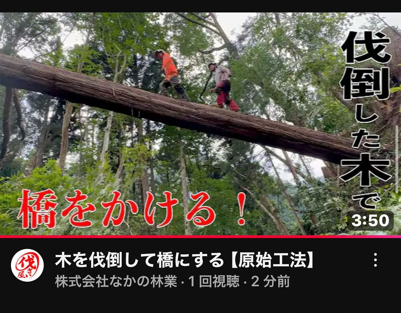 最新YouTube！皆伐編________________________________⁡樹木でお困りの方は"株式会社なかの林業"にお任せ下さい！従業員も随時募集中です☘️お問合せはHP、DM、お電話にて！https://nakano-ringyo.jp⁡〒920-2133石川県白山市鶴来大国町西517℡: 076-272-4885fax: 076-272-8745________________________________⁡#伐採 #特殊伐採 #空師 #林業 #除草 #主伐 #間伐 #森林経営計画 #森林環境譲与税 #森林管理制度 #スマート林業 #国有林 #県有林 #市有林 #民有林 #公社林 #屋敷林 #素材生産 #造林 #支障木 #線下伐採 #除雪 #石川県 #白山市 #鶴来 #金沢市 #野々市市 #小松市 #能美市 #なかの林業