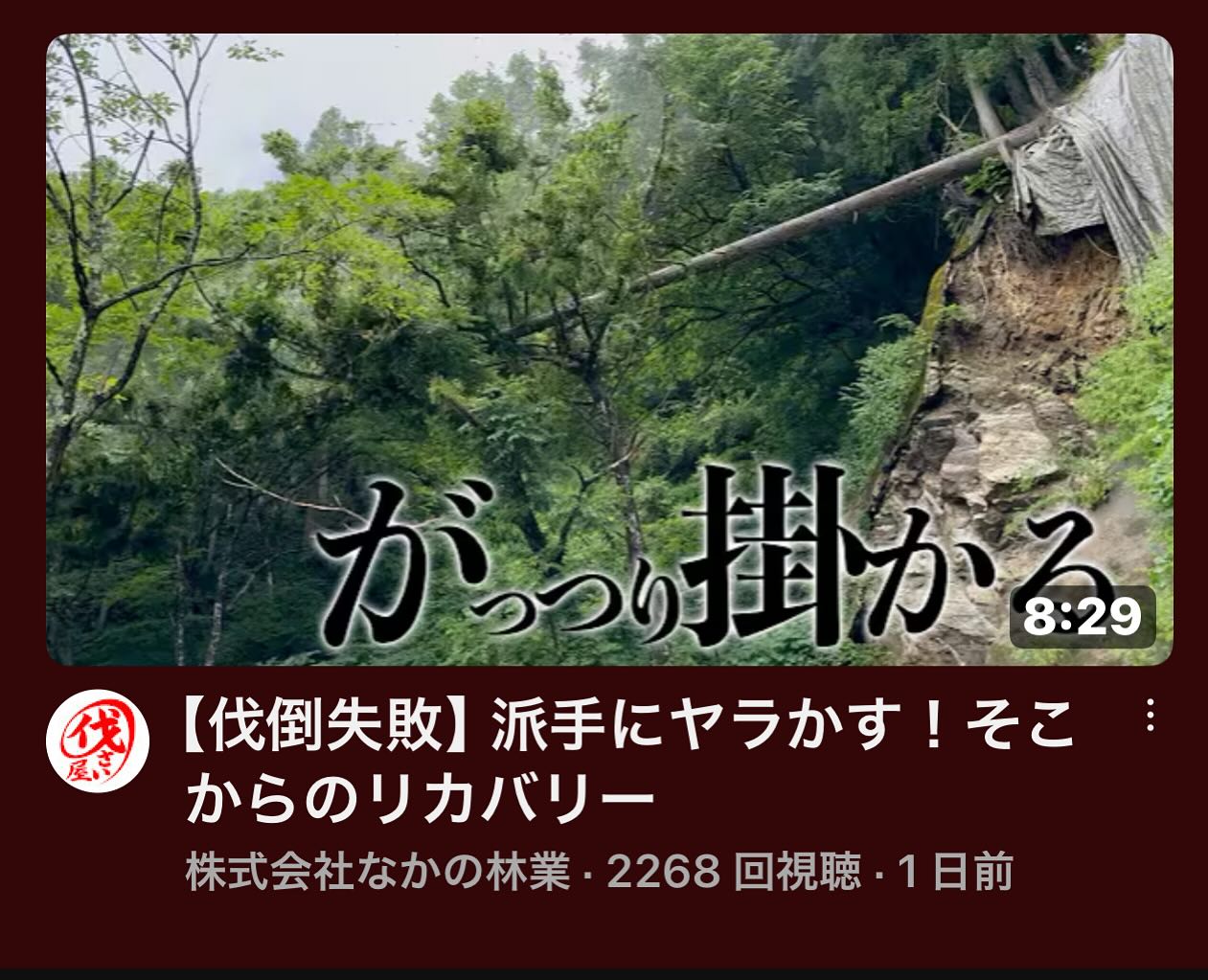 最新YouTube！急傾斜地編________________________________⁡樹木でお困りの方は"株式会社なかの林業"にお任せ下さい！従業員も随時募集中です☘お問合せはHP、DM、お電話にて！https://nakano-ringyo.jp⁡〒920-2133石川県白山市鶴来大国町西517℡: 076-272-4885fax: 076-272-8745________________________________⁡#伐採 #特殊伐採 #空師 #林業 #除草 #主伐 #間伐 #森林経営計画 #森林環境譲与税 #森林管理制度 #スマート林業 #国有林 #県有林 #市有林 #民有林 #公社林 #屋敷林 #素材生産 #造林 #支障木 #線下伐採 #除雪 #石川県 #白山市 #鶴来 #金沢市 #野々市市 #小松市 #能美市 #なかの林業