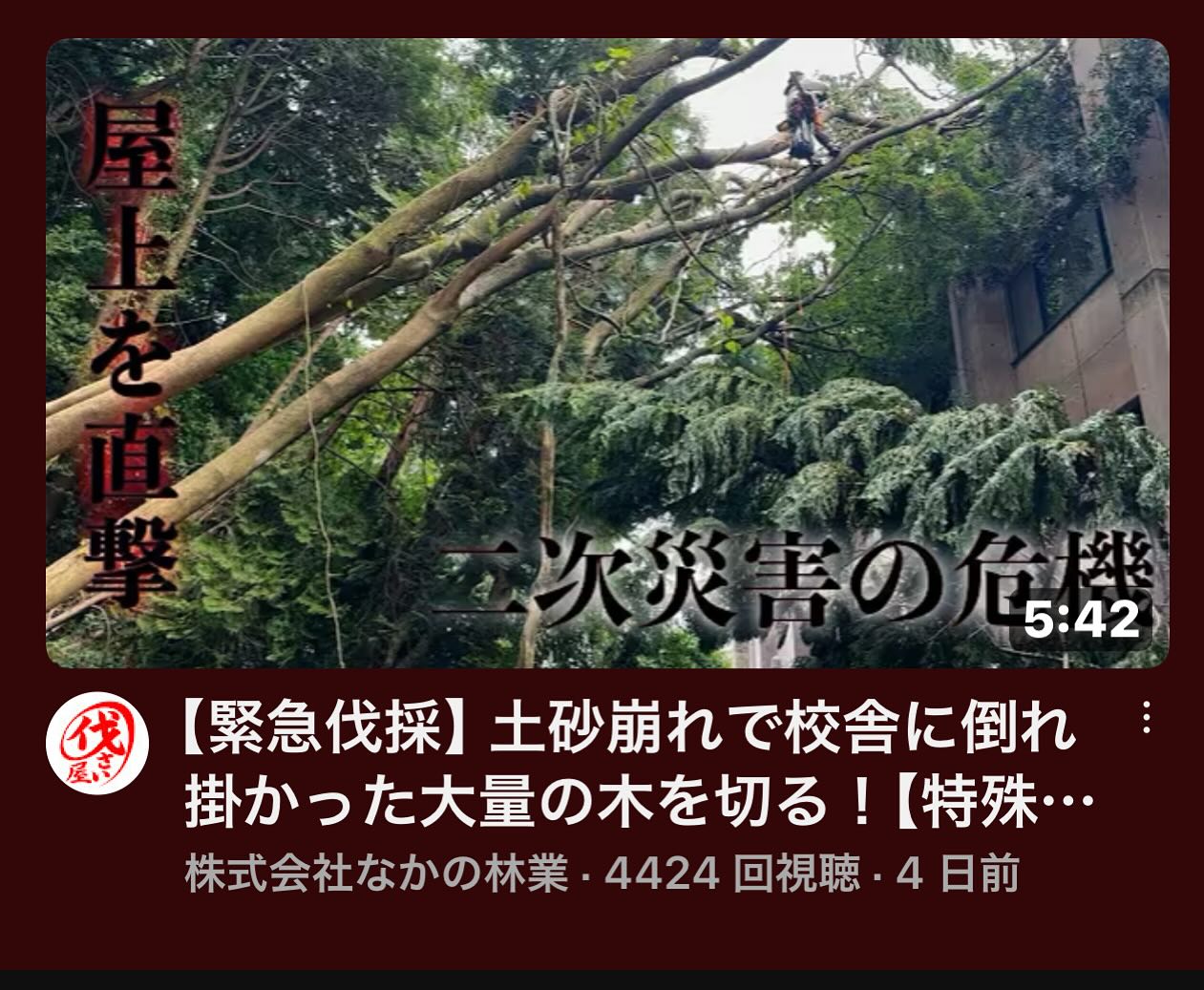 最新YouTube！災害編！________________________________⁡樹木でお困りの方は"株式会社なかの林業"にお任せ下さい！従業員も随時募集中です☘️お問合せはHP、DM、お電話にて！https://nakano-ringyo.jp⁡〒920-2133石川県白山市鶴来大国町西517℡: 076-272-4885fax: 076-272-8745________________________________⁡#伐採 #特殊伐採 #空師 #林業 #除草 #主伐 #間伐 #森林経営計画 #森林環境譲与税 #森林管理制度 #スマート林業 #国有林 #県有林 #市有林 #民有林 #公社林 #屋敷林 #素材生産 #造林 #支障木 #線下伐採 #除雪 #石川県 #白山市 #鶴来 #金沢市 #野々市市 #小松市 #能美市 #なかの林業